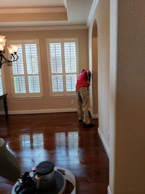 Wood Floor Cleaning