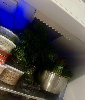 Some of our fresh produce chilling in the fridge.