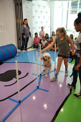 Frolic Birthday Party - Agility Course Activity