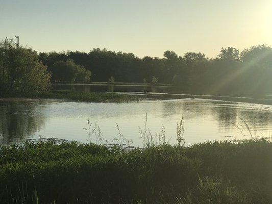 Fishing Pond