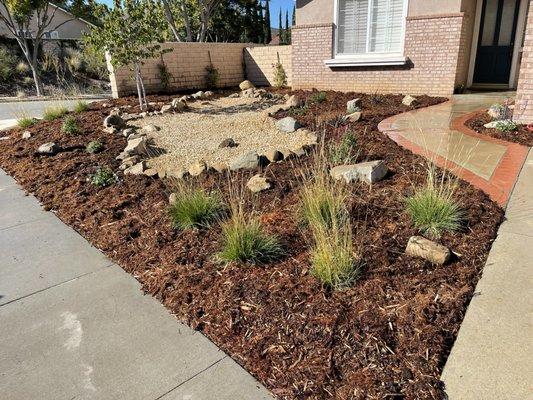 Drought tolerant landscape at residential home.