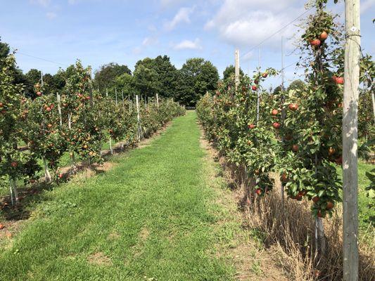 Brookdale Fruit Farm Stand