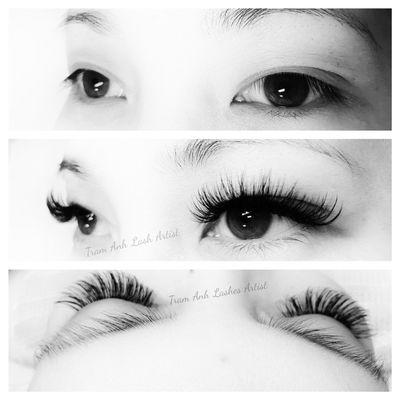 3D Lashes