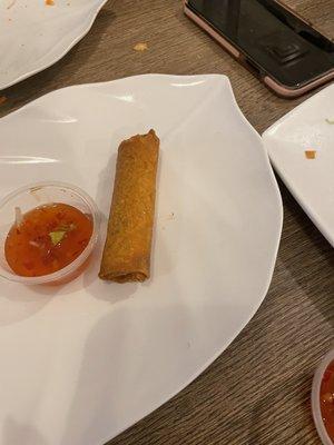 Fried spring roll from combo dish.