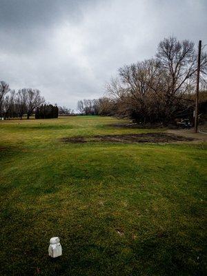 2nd Hole par 3  Green is highlight