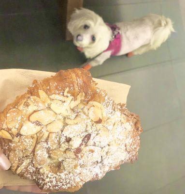 Almond Croissant for Fendi