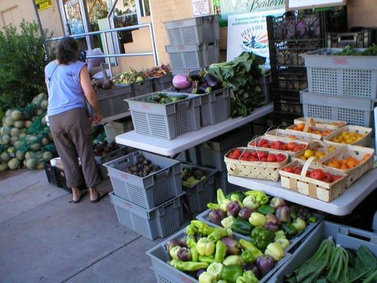 One of our Cambridge CSA pickups