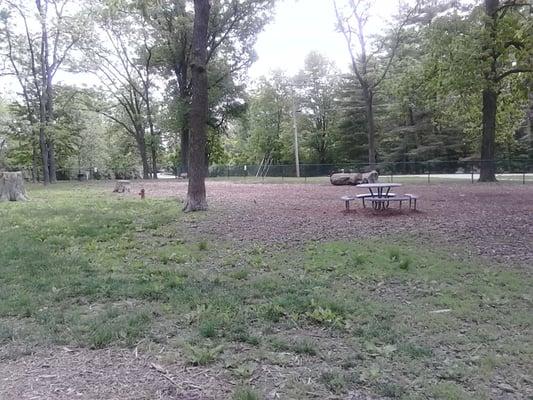 Large fenced in dog run.