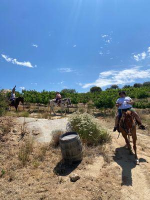 Vineyard Horseback Ride