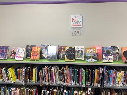 Display in the teen section during Pride month