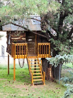 Tree house for my grandkids