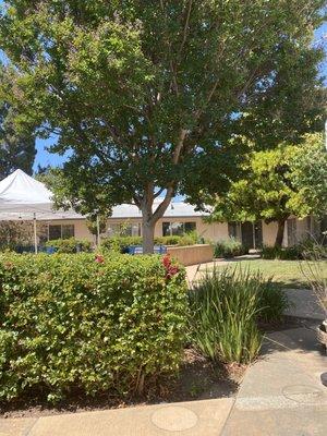 Courtyard view