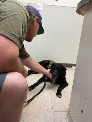 In treatment room @ animal emergency clinic