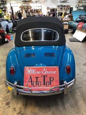 1964 Beetle rear shot