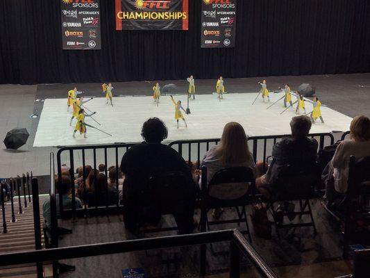 Winterguard performance