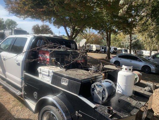 Tree branches falling on my truck!