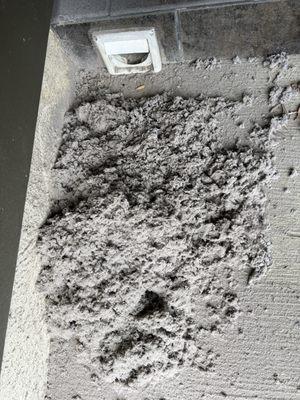 Dryer vent cleaning