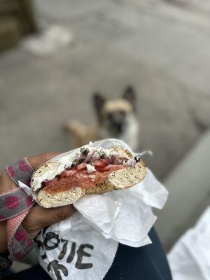 Lox Deluxe on an everything bagel.  Hungry dog in the background...