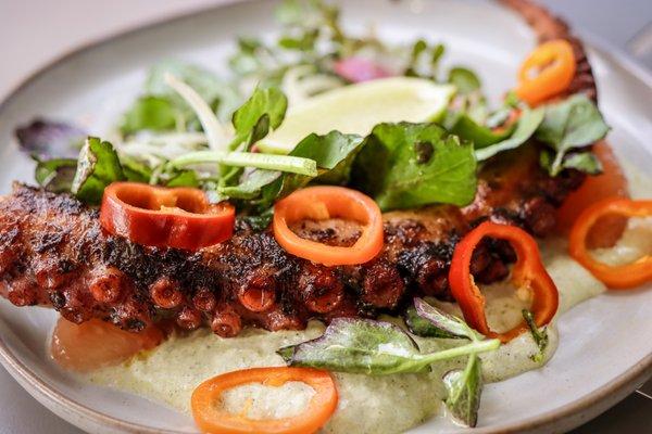 Jerked octopus- gluten free