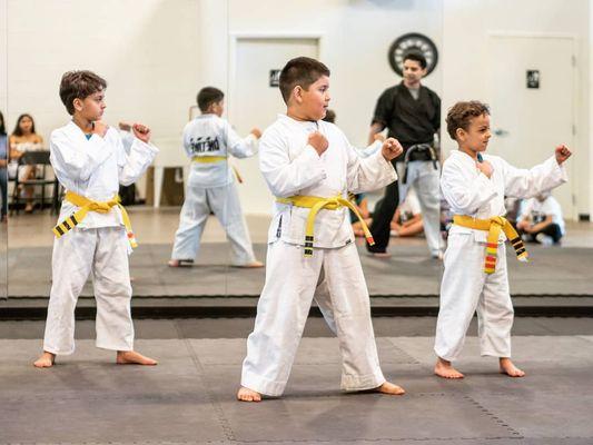 Martial Arts demonstrating what they have learned. Graduation Ceremony