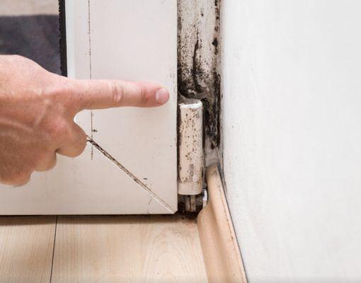 Mold Remediation Services