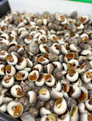 Grease snails $7.99/lb