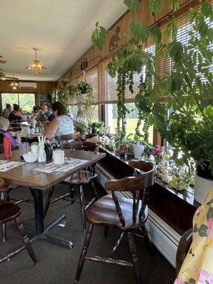 Restaurant.  Clean and with so many nice plants.