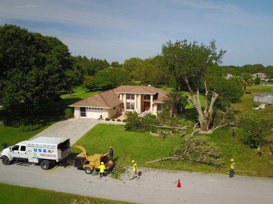 USA Tree Service