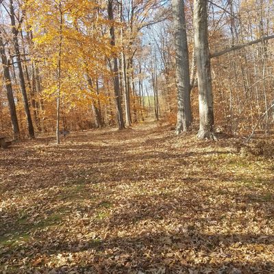 One of the trails behind the park