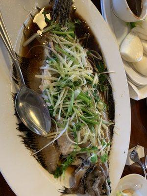 Steamed Flounder