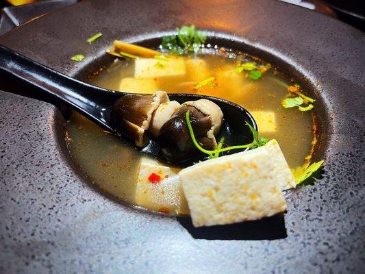 Close-Up Tofu Soup!