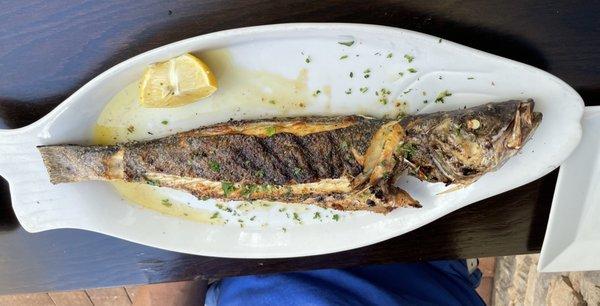 Whole bronzino, not the fillet. It was good