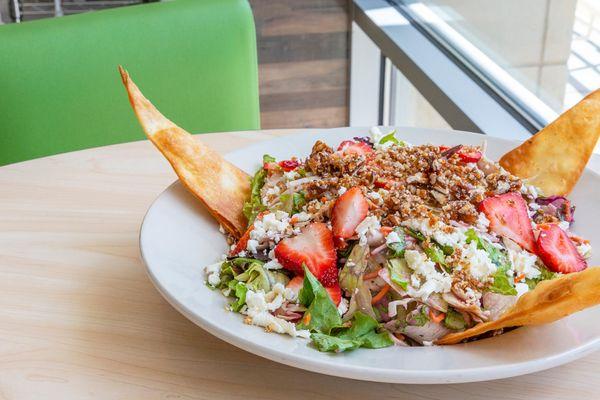 Strawberry Filed Salad- mixed green, grilled chicken, strawberries, feta, candied pecans with blackberry vinaigrette dressing.