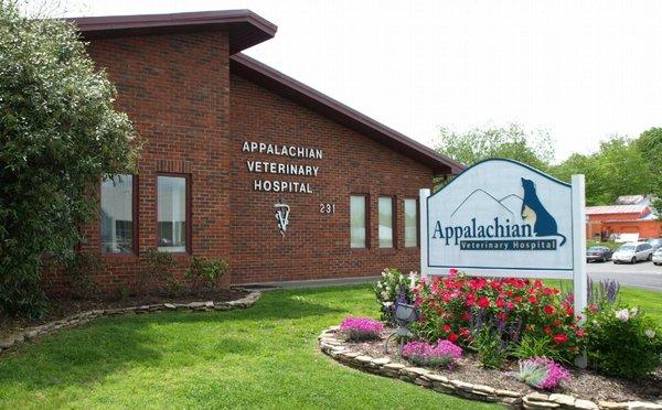 Appalachian Veterinary Hospital