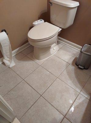 Toilet Repair & Installation