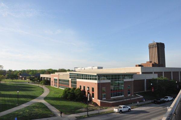 WKU Health & Fitness Lab Massage Therapy