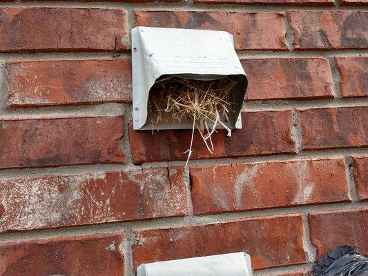 Home Air duct Cleaning