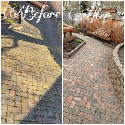 Bricks Pavers cleaning