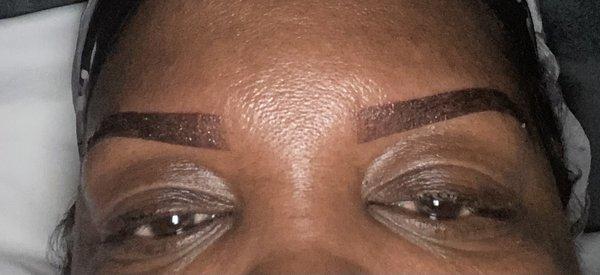 Day 2 of my brows from Nady B. The artist was Jazz