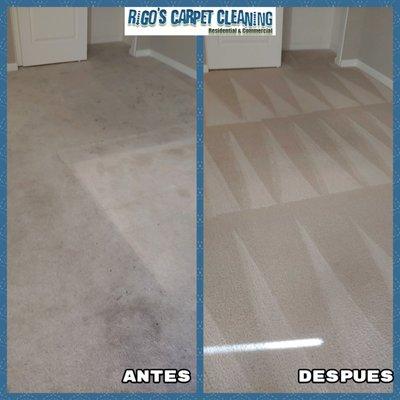 Rigos Carpet Cleaning  925-436-7524 -925-565-3048 Carpet Cleaning-Order Removal-Auto Interiors  Upholstery