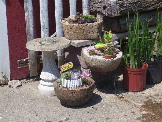 English garden troughs (hypertufa) are a fun workshop.