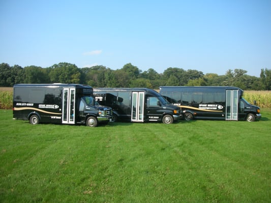 Samples of our black coach buses.