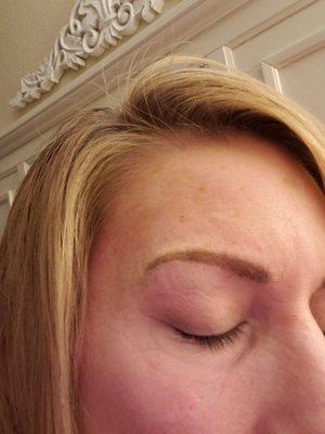 Left Brow. Too short at end.