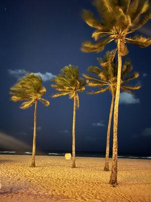 Beach ambiance