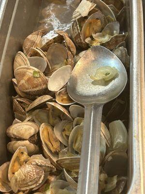 Cold clams in gray water.