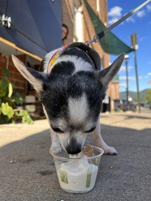 Pup cup