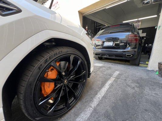 Lamborghini Urus & Porsche Cayenne