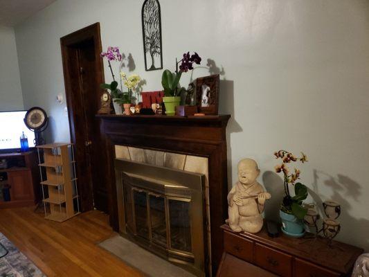 The sad looking fireplace with its dated brass doors.