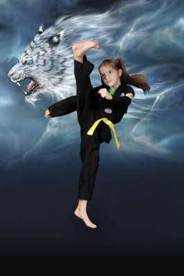 Lee's Taekwondo Martial Arts