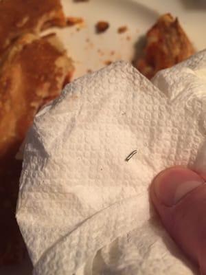 It was very unpleasant to crunch down on this piece of metal cooked into my pizza.